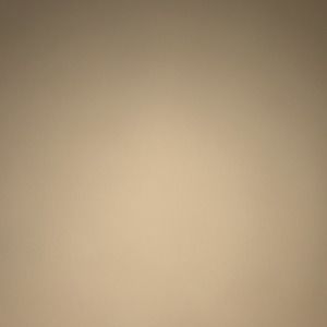 Meet your Posher, Lashandra